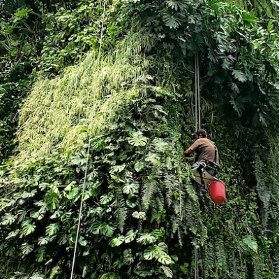 Captura de pantalla 2025-10-23 a la(s) 12.26.23 a.m.